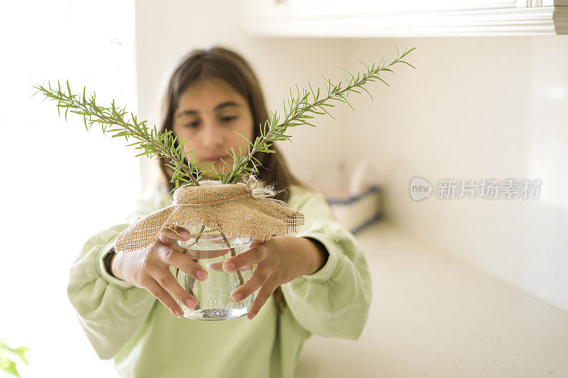 美丽的女孩又在罐子里发芽了迷迭香