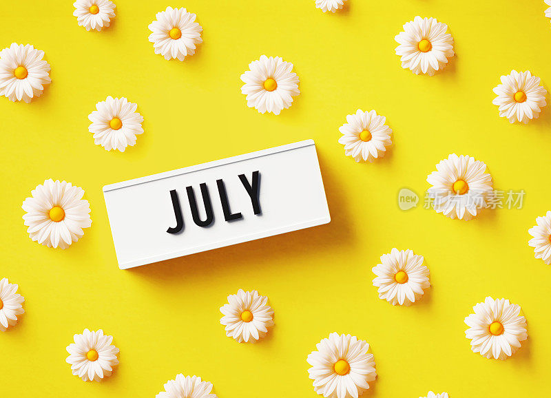 七月写着白色灯箱坐在白色雏菊黄色背景