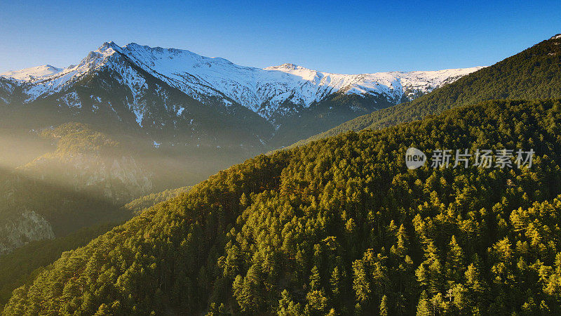 森林和山