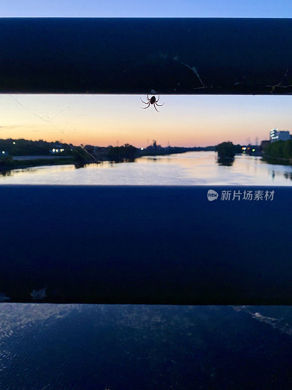 蜘蛛和蜘蛛网悬挂在河上