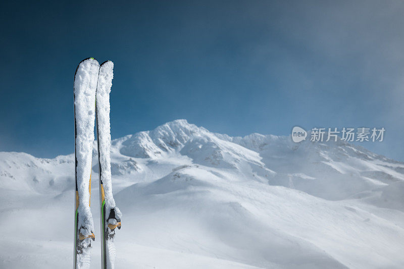 新鲜的雪