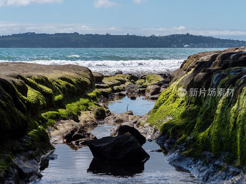 新西兰奥克兰美丽的海岸线景色