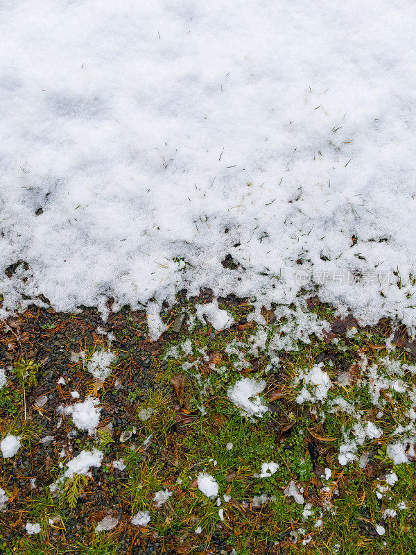 绿草地上的雪。绿色草坪上的积雪正在融化。雪的草坪。冬天。
