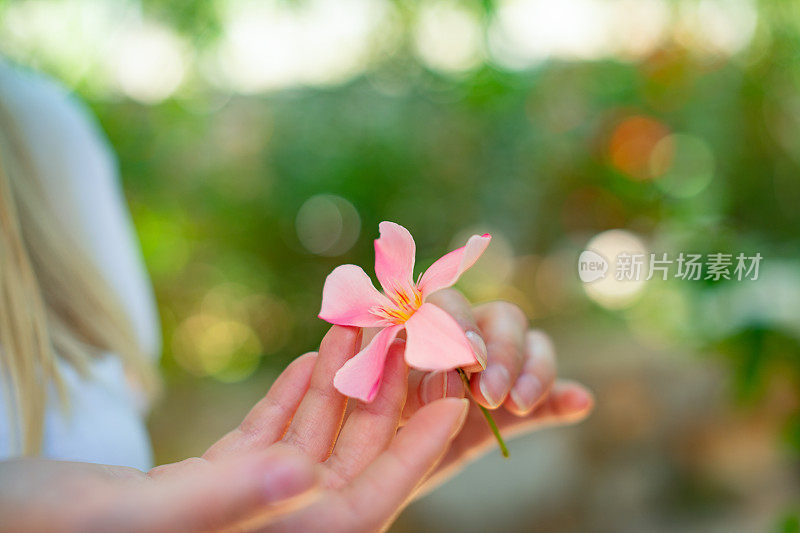 拿着花的女人特写