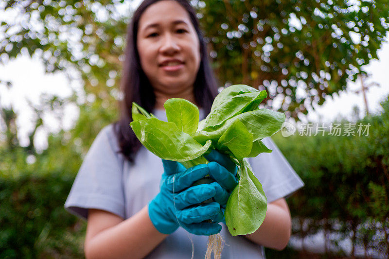 手持绿叶植物的女园丁。