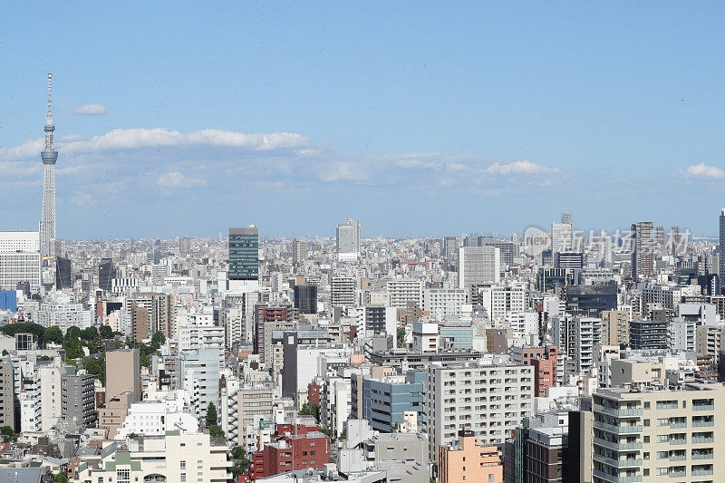 东京天空树和屋顶观看东京天际线的城市景观