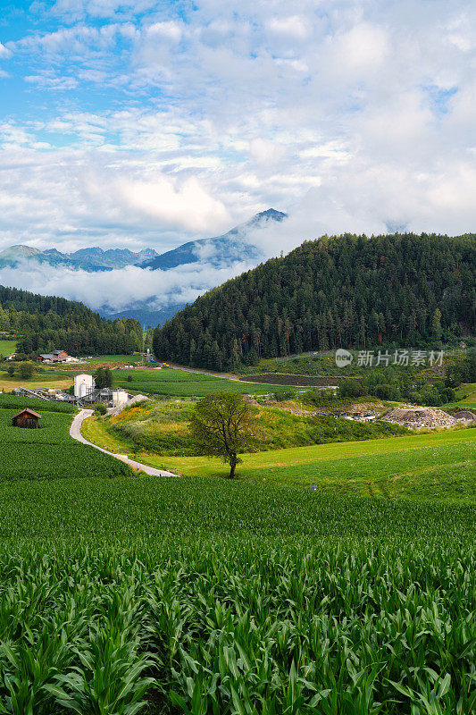 阿尔卑斯山全景