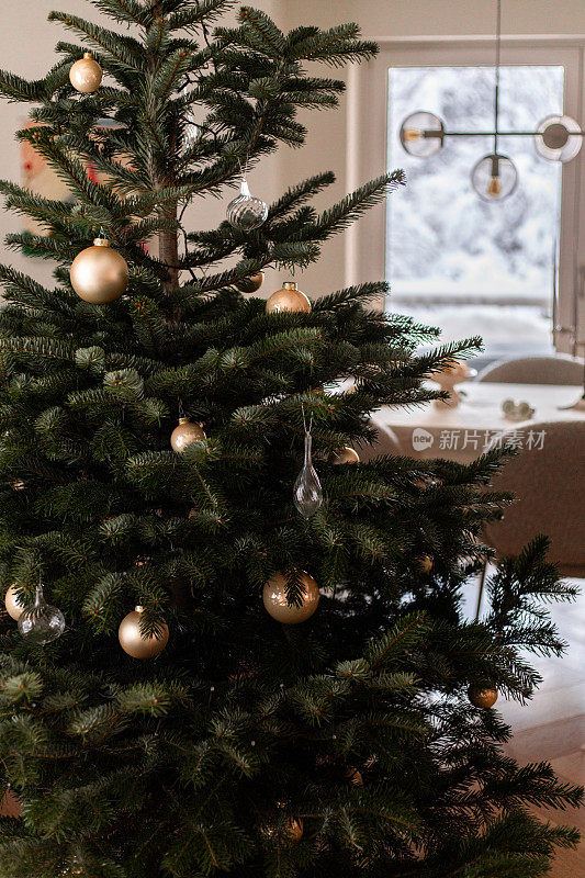 现代客厅里的圣诞树，装饰着金饰