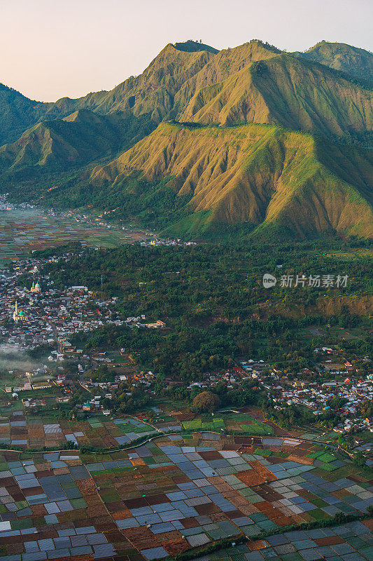 龙目岛的农田和火山景观