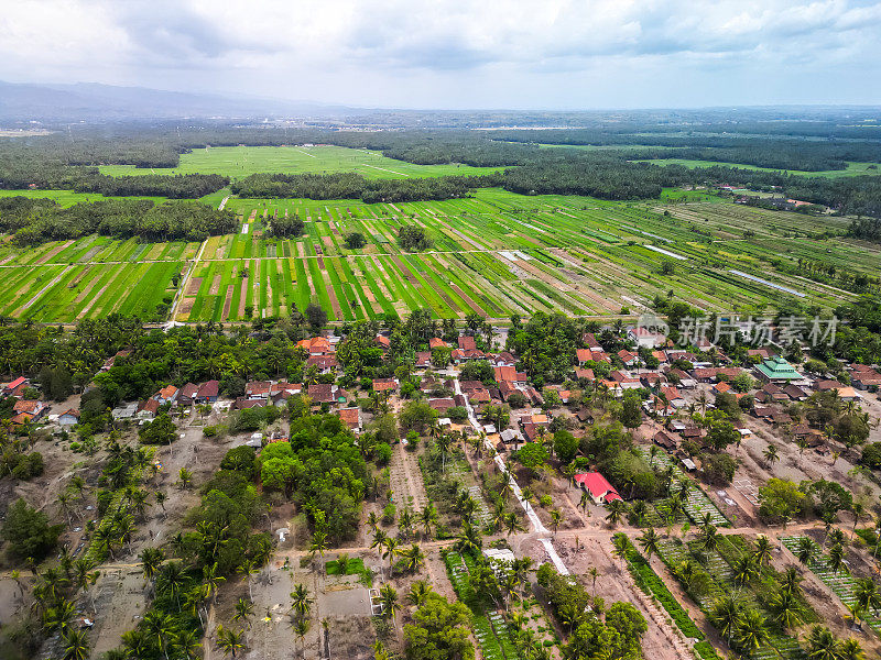 鸟瞰日惹库伦普罗戈沿海地区的稻田、菜园和椰子种植园等农业用地。在沙滩上耕种。白天的高角度。