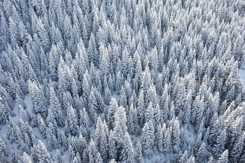 无人机拍摄的雪山鸟瞰图