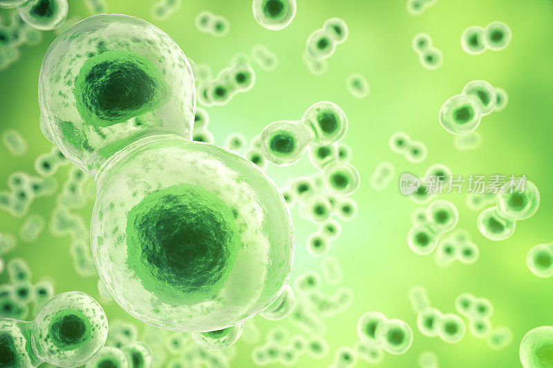 绿色单元格背景。生命生物学、医学科学、分子研究