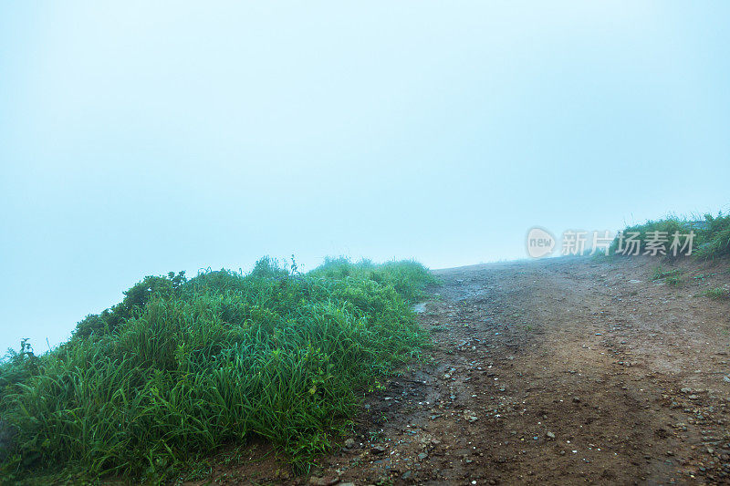 雾天的草地在山顶上