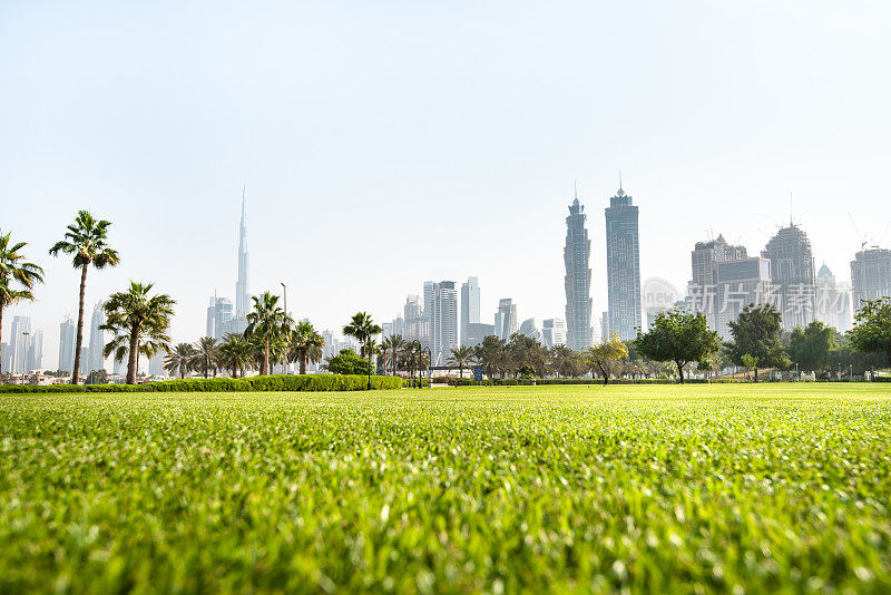 以迪拜市区为背景的天际线