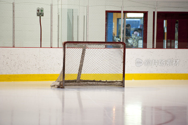 冰球球门网，patinoire