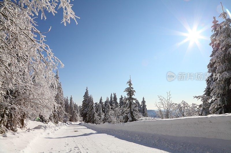 冬天的风景与雪在黑森林