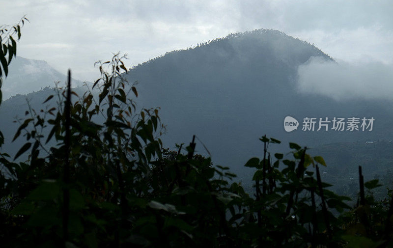 卢旺达:该国北部的风景