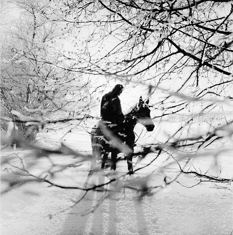 雪地里骑马的人