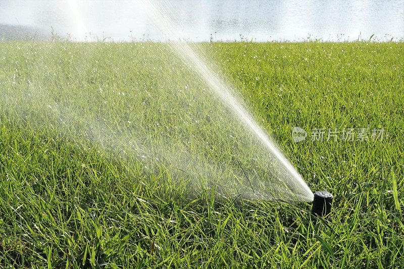 草坪维护——用洒水系统浇灌草坪
