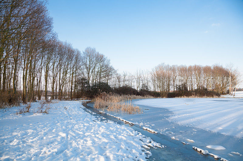 英国埃塞克斯的冬天，冰雪覆盖的钓鱼湖