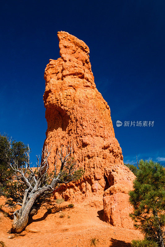 红峡谷胡都，在布莱斯峡谷国家公园附近