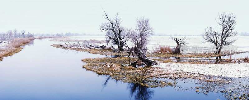 rurial场景。哈维尔河的冬季景观(德国)。Havelland