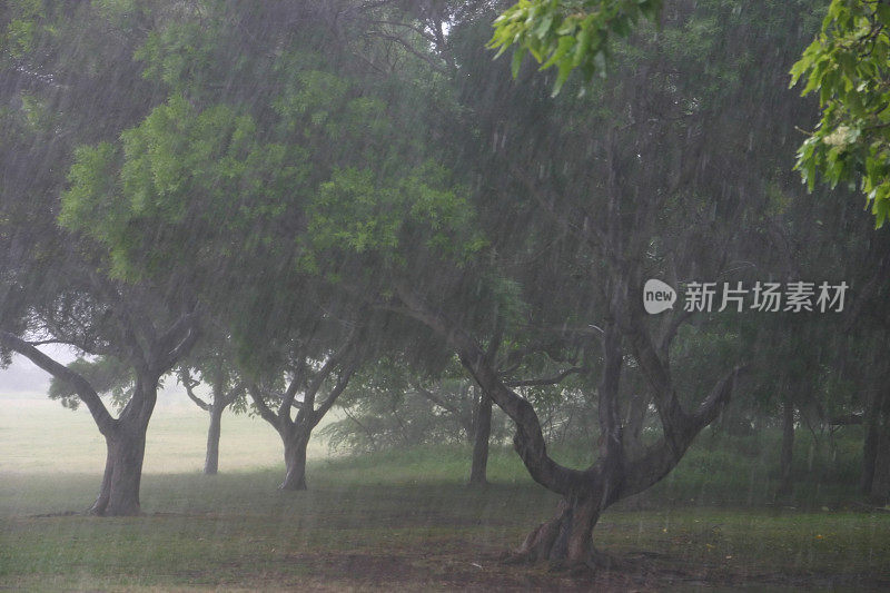 夏威夷(美国)暴雨