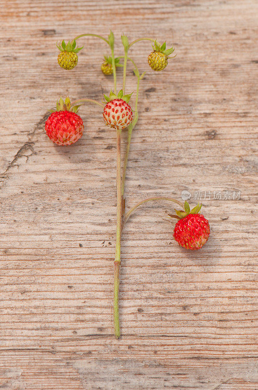 质朴的木桌上放着野草莓