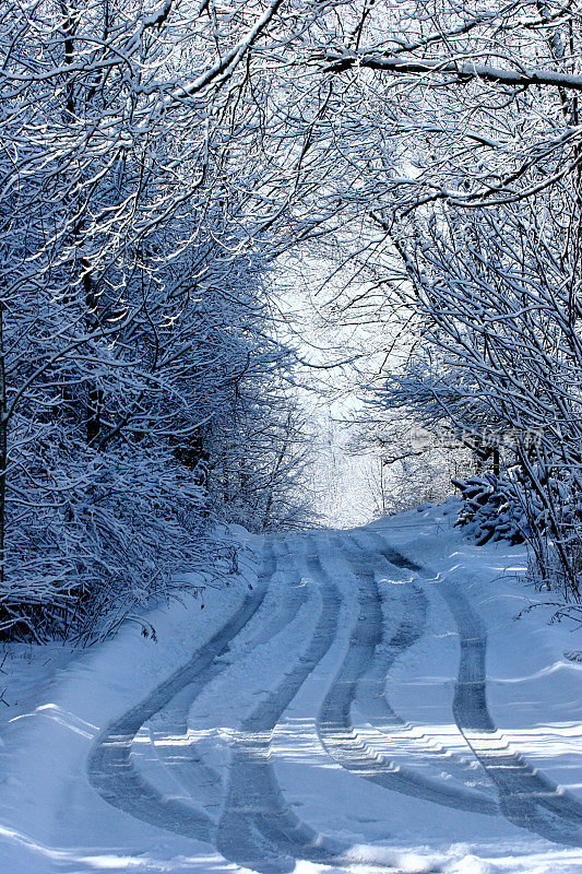 冬天的路