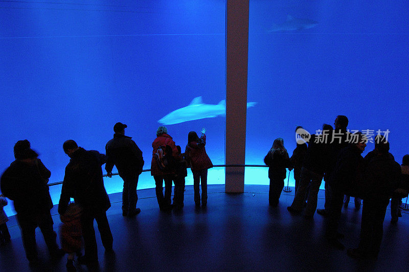 动物园水族馆里的鲨鱼和观众