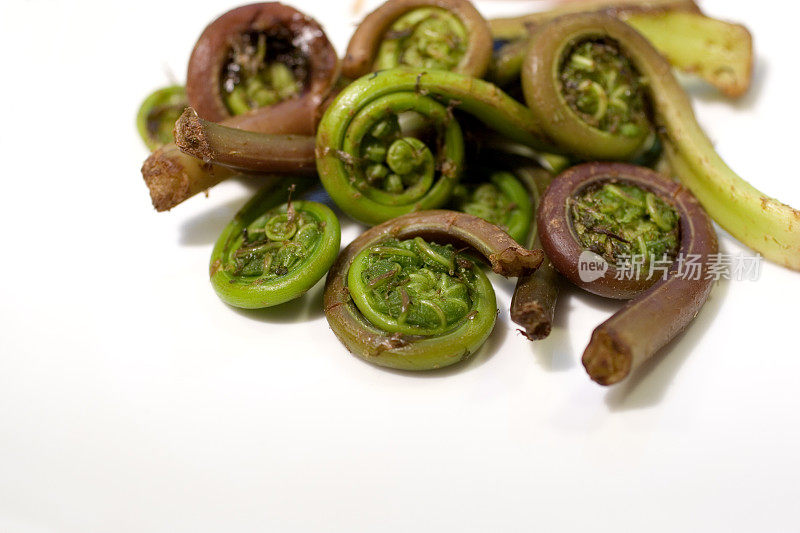 烹饪:船首饰蕨类植物