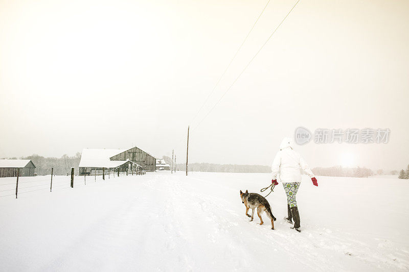 一个女人在雪地里遛狗