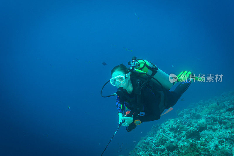 潜水蓝角，帕劳-密克罗尼西亚