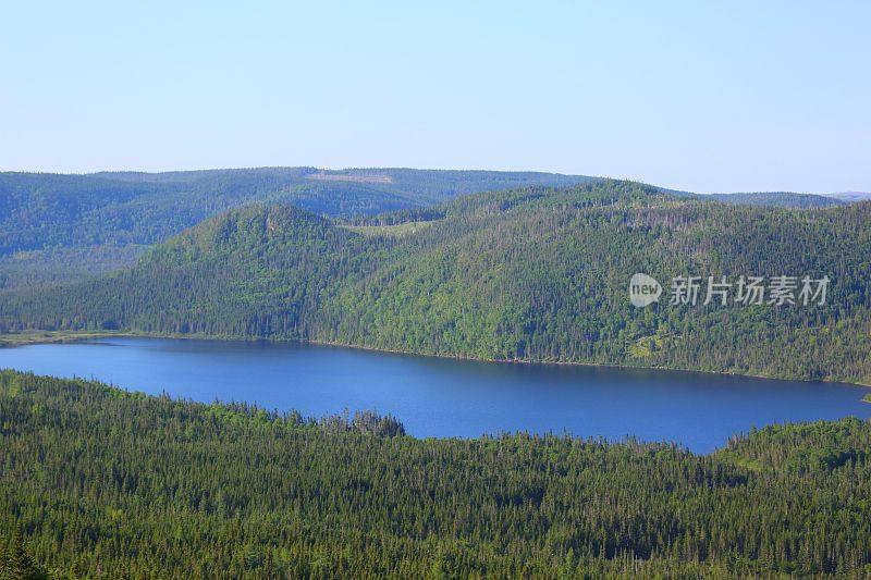 纽芬兰山景