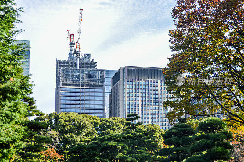 办公建筑和绿色公园空间——日本东京