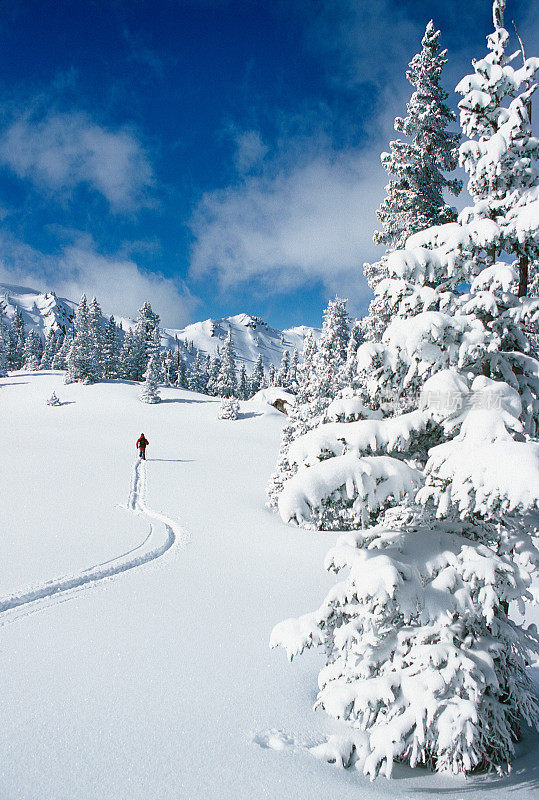 滑雪旅游滑雪者在风景优美的山脉冬季