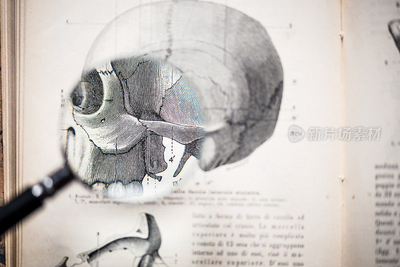 放大镜上的古董解剖学书:头骨