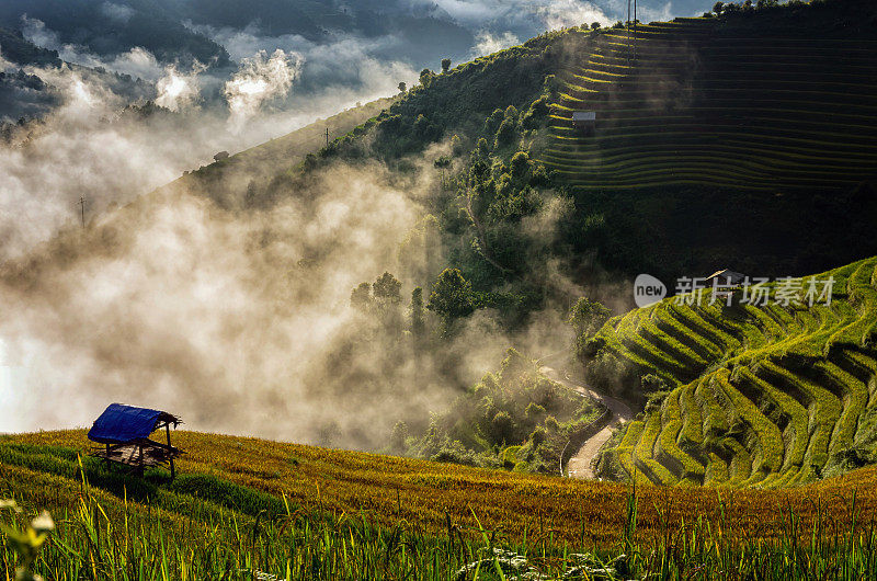 日出时分，越南西北部盐白省木仓寨地区梯田上的稻田，虫声