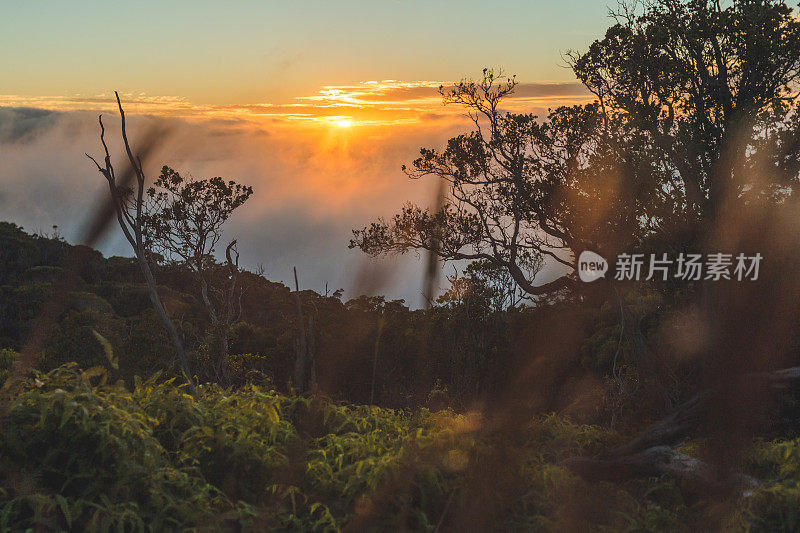 夏威夷山