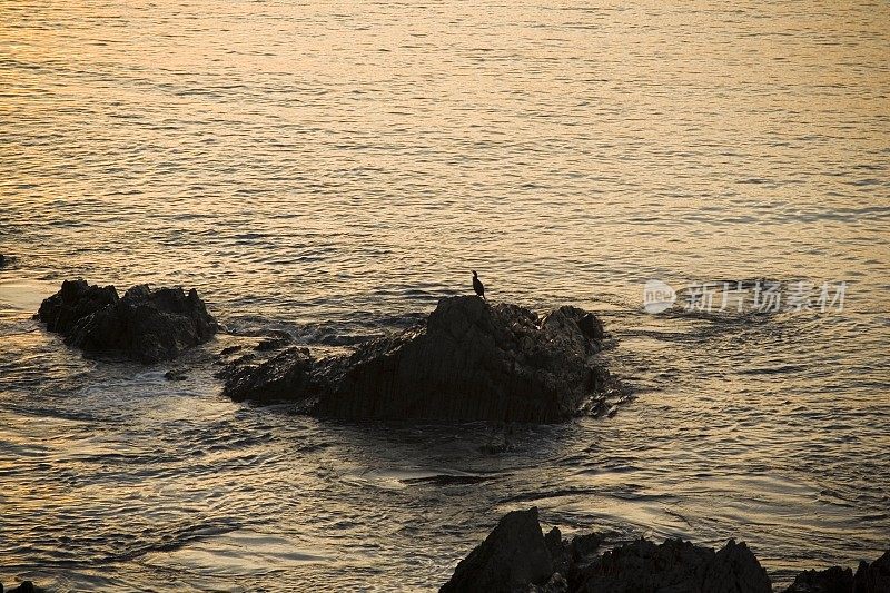 海滩海浪海岸