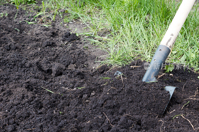 铲挖。土壤处理。