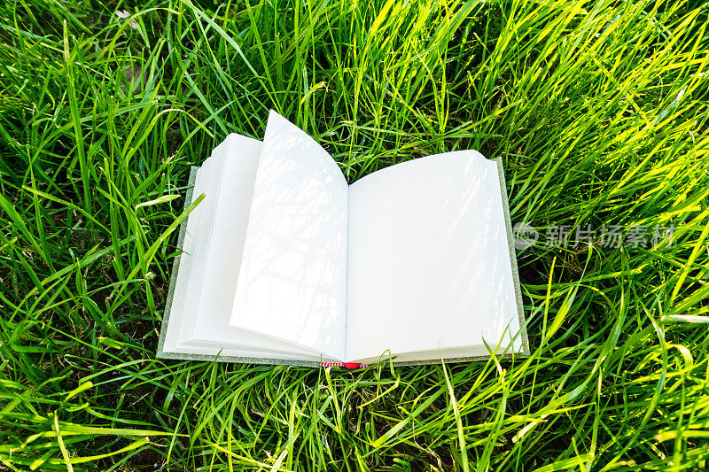 书在草地上