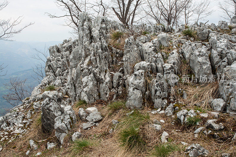 德里纳峡谷