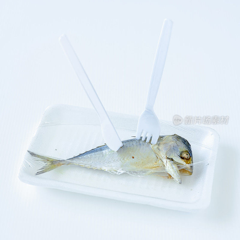 用保鲜膜包裹在聚苯乙烯盘子上的印度鲭鱼，盘子打开后用塑料刀叉刺穿鱼，置于白色背景上。