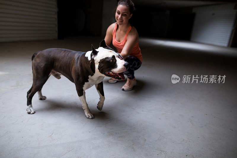 女拳击手和可爱的狗比特斗牛梗