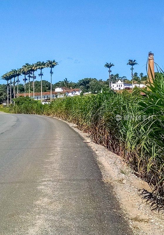 这条路蜿蜒穿过巴西的田野