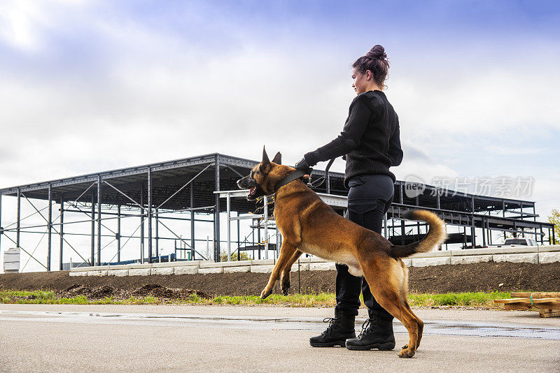 一名K-9专业女保安还有一名比利时玛利诺犬守卫。