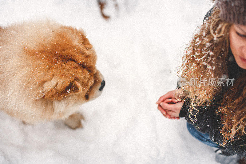 雪中的聚会时间