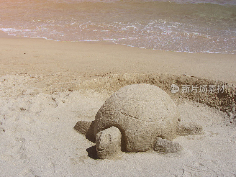 沙滩上的沙龟雕塑v3