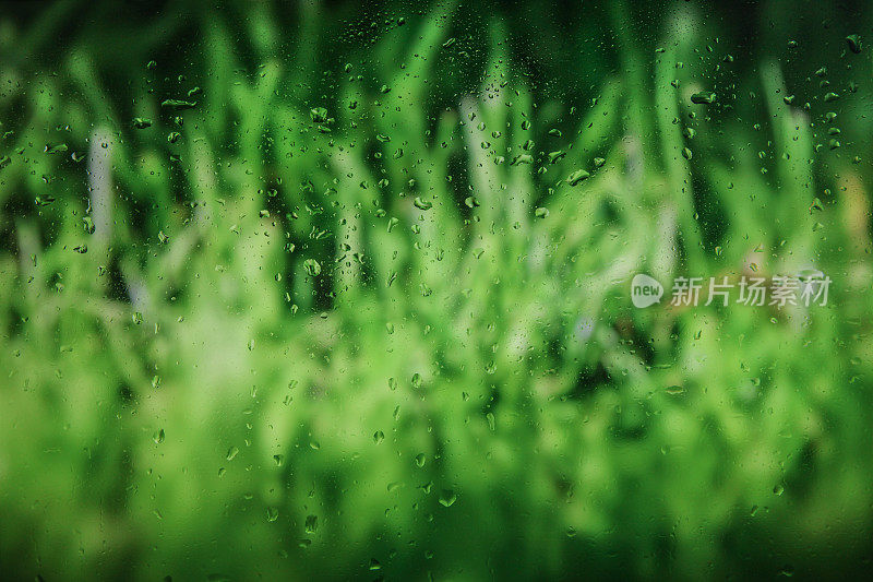 泡沫在清澈的淡水在绿色的草地上。